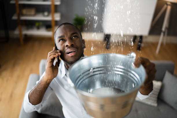 Best Flood restoration services  in Taunton, MA