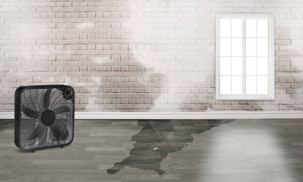 24/7 water damage repair in MA
