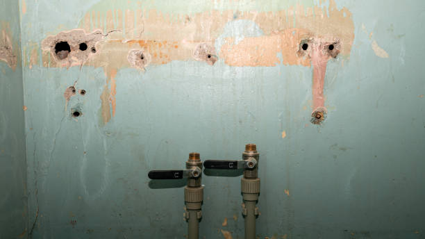 Best Flood damage cleanup  in Taunton, MA