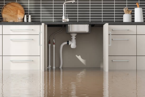 Best Fire Damage Restoration  in Taunton, MA