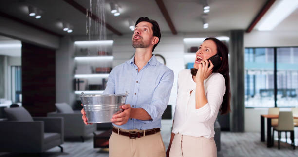 Best Local water damage restoration  in Taunton, MA