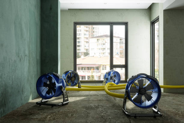 Best Sewage cleanup and water damage restoration  in Taunton, MA